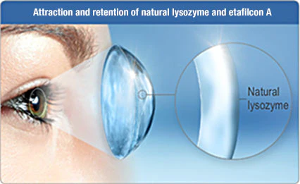 1-Day Acuvue Moist (30 lenses/pack) - Image 5