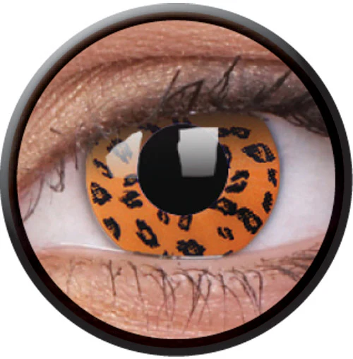 Colorvue Crazy Yellow Leopard (2 lenses/pack)