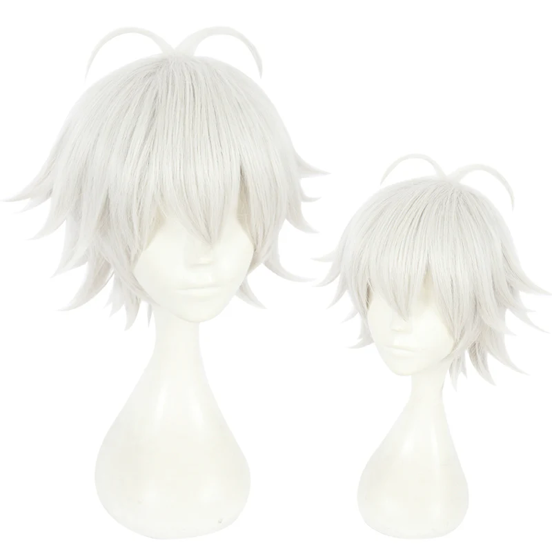 Cosplay Wig - CS 383D
