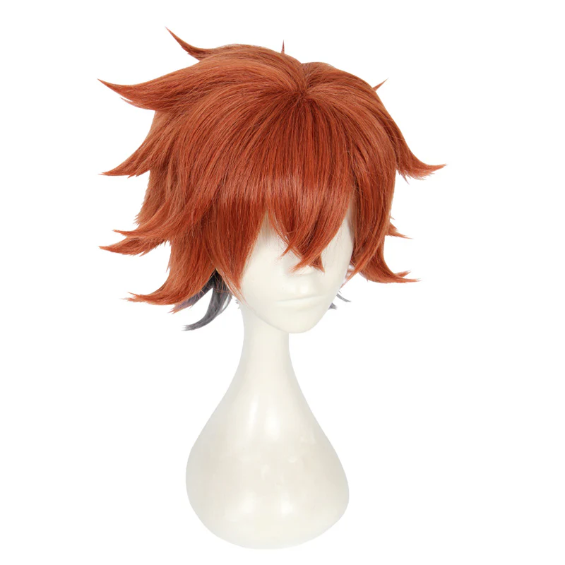 Cosplay Wig - CS 438A