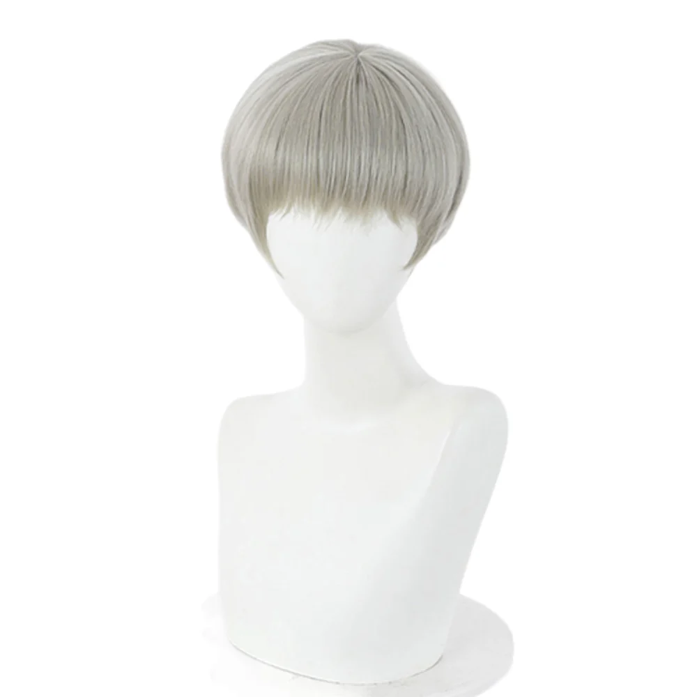 Cosplay Wig - CS 458H