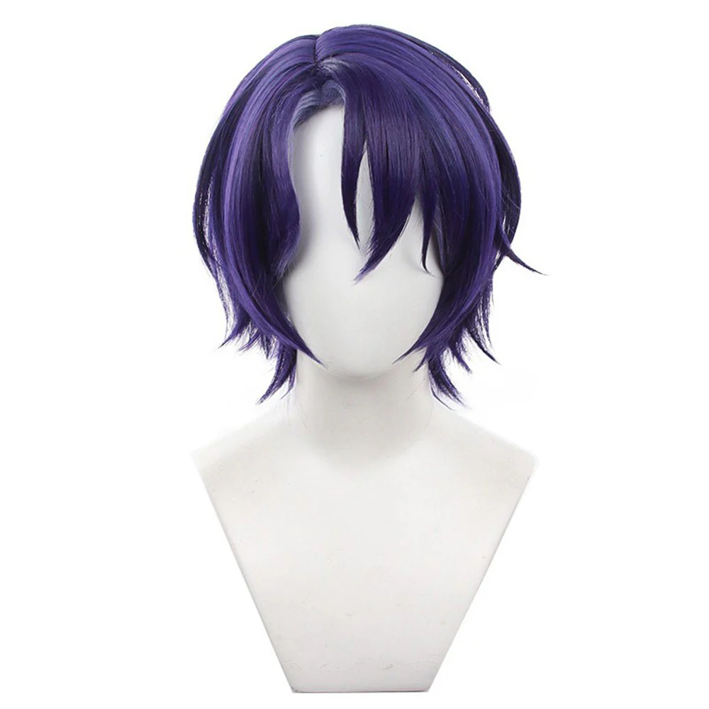Cosplay Wig - CS 541B