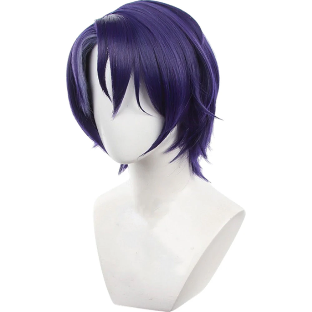 Cosplay Wig - CS 541B - Image 3