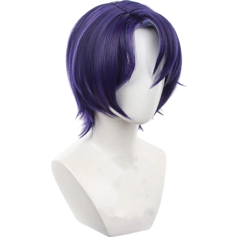 Cosplay Wig - CS 541B - Image 4