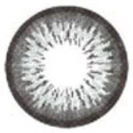 ICK Garnet Grey (1 lens/pack)