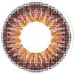 ICK Shower Brown (1 lens/pack)