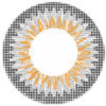 ICK Shower Grey (1 lens/pack)