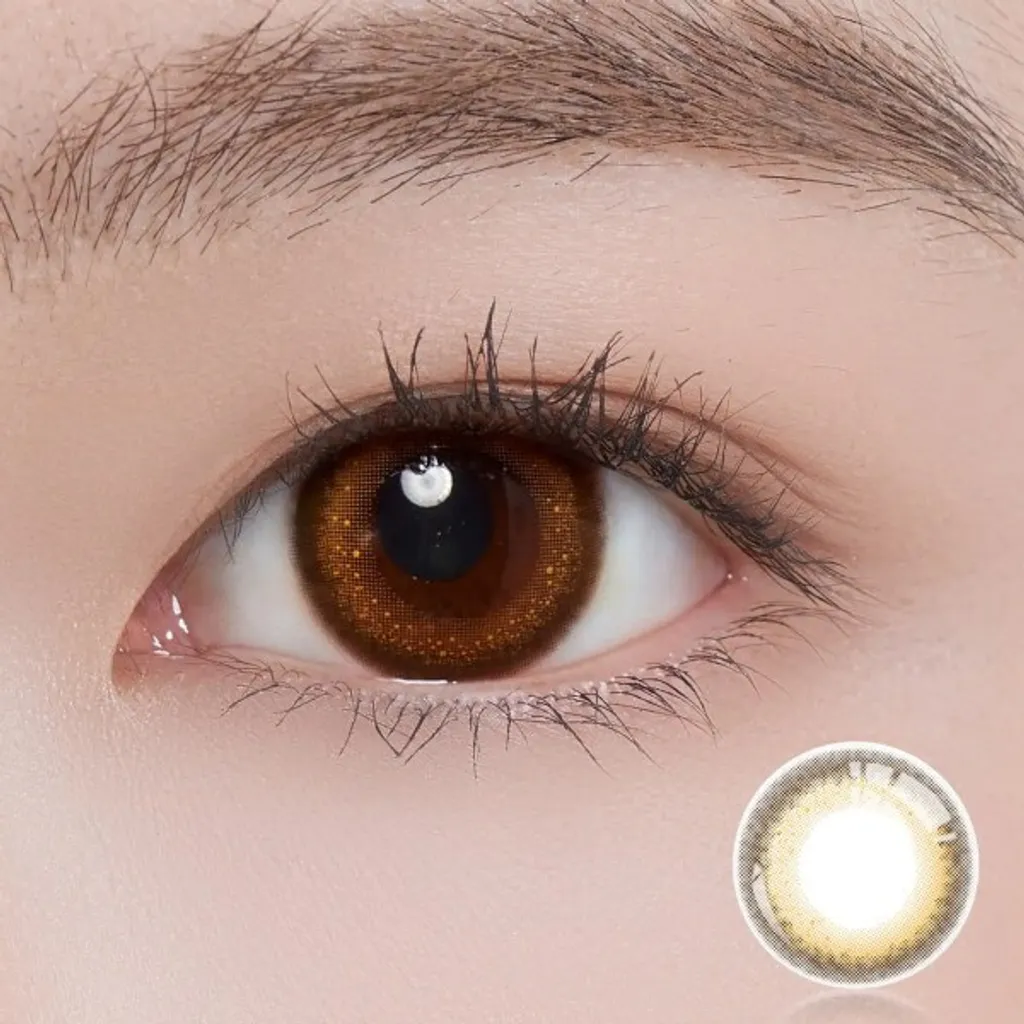 ii99 Monthy Disposable - Folia Brown (2 Lenses/pack)