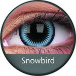 Phantasee Crazy Blue Snowbird (2 lenses/pack)